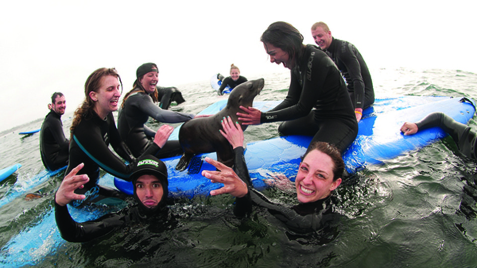 Nebraska students participate in a spring break surfing trip sponsored by Campus Recreation.