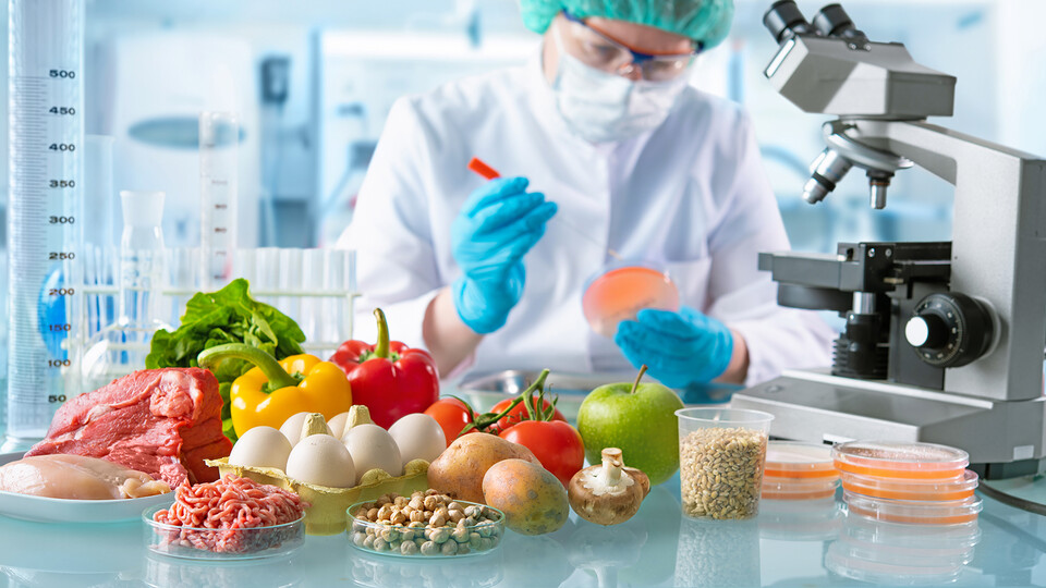 Scientist studies fresh produce in a lab.