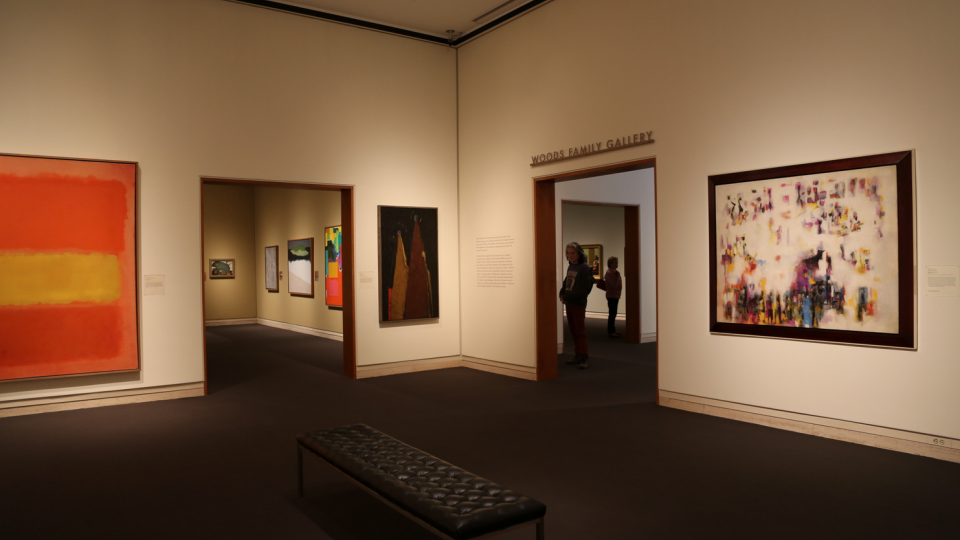 The Woods Family Gallery at the Sheldon Museum of Art.