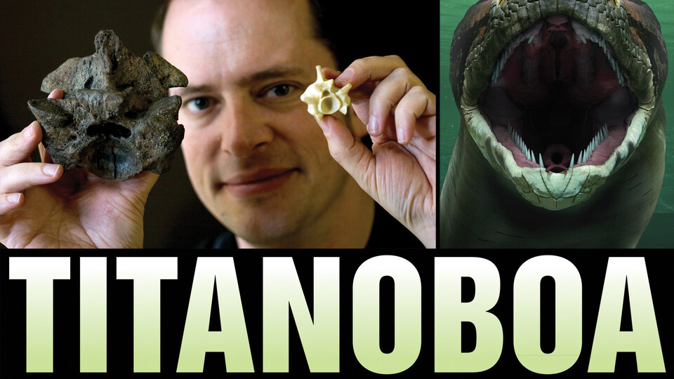 titanoboa vs anaconda size