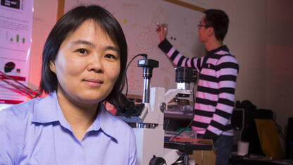 Linxia Gu, associate professor of mechanical and materials engineering, is lead author in a study that examines how improvised explosive devices impact blood vessel networks and can lead to traumatic brain injury.