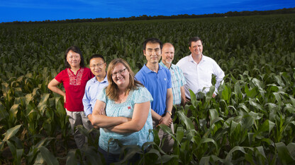 A UNL team is studying how climate and agricultural changes influence groundwater quality. From left: Yusong Li, civil engineering; Zhenghong Tang, community and regional planning; Shannon Bartelt-Hunt, civil engineering; Xu Li, civil engineering; Dan Snow, Nebraska Water Center; and Eric Thompson, economics. Not pictured is David Rosenbaum, economics.