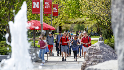 Nebraska is one of 382 universities featured in the Princeton Review's annual review of the nation's best institutions for undergraduate education.