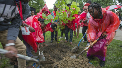 Mandela Washington Fellows plant a London Planetree on East Campus during a July 18 International Nelson Mandela Day ceremony.