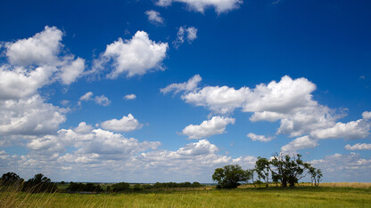 Nine-Mile Prairie