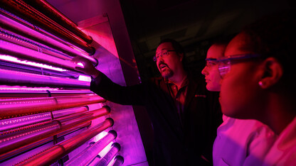 James Allen, (right) a biochemistry research associate, and Kathleen Mannino, a sophomore from St. Louis, discusses an experiment that uses algae and certain wavelengths to remove nitrates from groundwater. The project is part of the university’s award-winning biochemistry department.