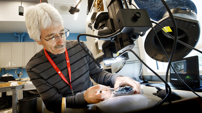 Rob Skolnick works to remove rock from around a lemur fossil in Morrill Hall's Visual Lab on the museum's fourth floor.