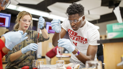 UNL will join the International Conference of Undergraduate Research (ICUR) in 2020. Photo by Craig Chandler / University Communication.