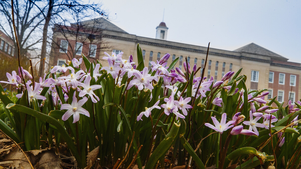 Campus Love Library Flowers