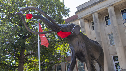 Morrill Hall