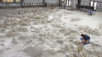 Visitors to Ashfall Fossil Beds State Historical Park watch as a student paleontologist uncovers a fossil find in the 17,500-square-foot Hubbard Rhino Barn. (NU State Museum)