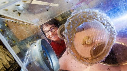 Ana Maria Vélez smiles behind a clear box containing western corn rootworms.