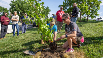 A man and a woman plant a young tree while several people watch.