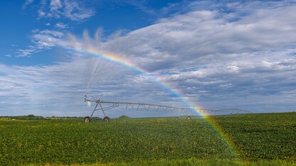 Irrigation from a center pivot forms a rainbow.