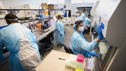 Rebecca Wehling and others work in the COVID-19 testing lab at the Veterinary Diagnostic Center Jan. 20, 2021. The lab was transformed from a storeroom in an area that the VDC designed for future expansion. Saliva-based diagnostic testing program is managed by the university through lab space in the Veterinary Diagnostic Center. 