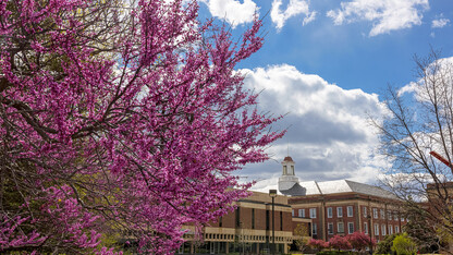 Love Library is framed by blooming spring trees.