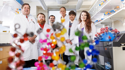 A team led by Eric Weaver, associate professor of biological sciences, has developed a robust vaccine against a strain of swine influenza. Framed by a model of nucleic acid proteins is (from left) Weaver; Matt Pekarek, a graduate student in the Weaver Lab; Cedric Wooledge, a technician with the Institutional Animal Care Program; David Steffen, with the Nebraska Veterinary Diagnostic Center; and Nicholas Jeanjaquet and Erika Petro-Turnquist, both doctoral students in the Weaver Lab. Not pictured 