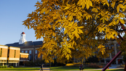 Fall leaves encase Love Library.