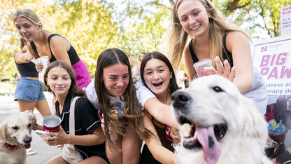 Carl, a therapy dog, enjoys pets from passing students during Well-being fest on Sept. 24.