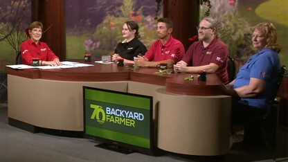 Extension Educators Sarah Browning (pictured at right) and Kait Chapman (second from left) were regularly featured experts on Backyard Farmer.