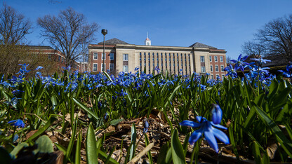 Spring flowers in front of Love Library