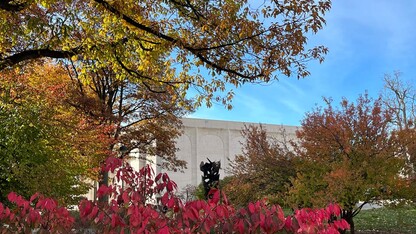 Taking a walk around campus to enjoy the abundant colors in nature can be a good way of taking time for yourself.