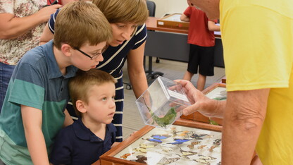 Entomology Research Technologist Steve Spomer shows a butterfly to guests at Bugfest 2016. 