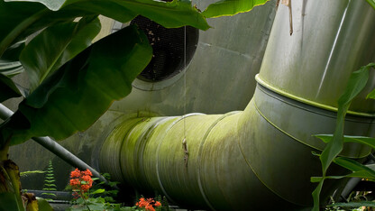 This photo, “Green Ductwork, Eden Project,” is among images featured in Dana Fritz's new book.