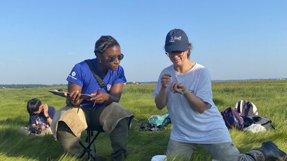 Hannah Carden works on the Parker River refuge.