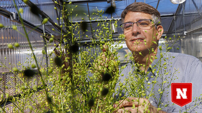 Ed Cahoon with oilseed plant