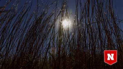 Spring Creek Prairie