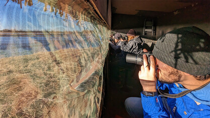 Students photographing Sandhill cranes