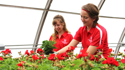 Horticulture Club members prepare for the spring sale.