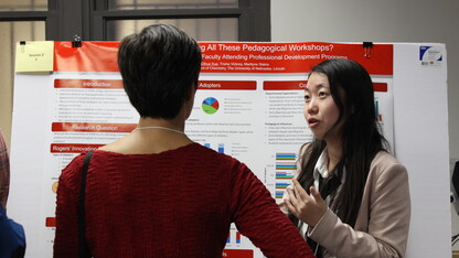 Dihua Xue (graduate student in chemical education) shares the results of her project with Amy Spiegel (research associate professor in Educational Psychology) at the 2015 retreat. 