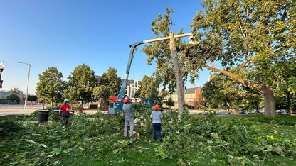 Crews remove a downed tree near Canfield Admin Building following a July 31, 2024 storm.