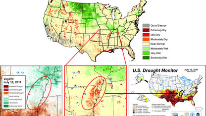 The QuickDRI prototype detected a fast-emerging area of drought in northwest Arkansas that didn't show up on VegDRI.