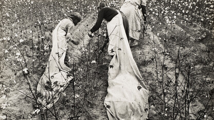 "Cotton Pickers, Pulaski County, Arkansas" by Ben Shahn