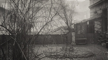 "Little Garden Behind Our House" by Josef Sudek.