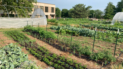 University of Nebraska–Lincoln researcher, Sam Wortman, is searching for gardeners and urban farmers to participate in a science project to collect plant and soil data in their own gardens.