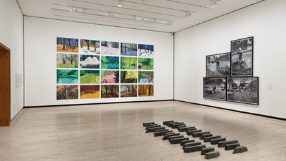 The exhibition "Approaching Landscape" is on view at Sheldon through December 31.