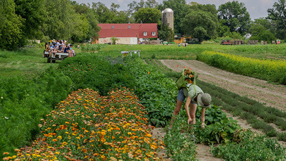 Aspiring Farmer Virtual Course, fall 2020