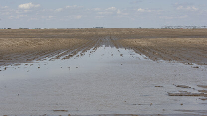 The Nebraska Water Center will present a talk on how wind affects water flow and solute transport in near-saturated soil. The talk is 2 p.m. June 2 in Hardin Hall.