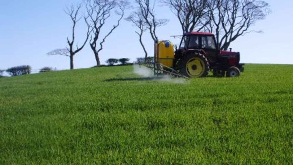 UNL is now offering a fully online graduate certificate in grassland management.