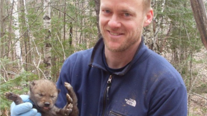 Dr. John Benson will share about his research with coyotes for Sunday with a Scientist participants this Sunday, January 31st.