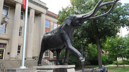 The University of Nebraska State Museum in Morrill Hall is participating in the Blue Star Museum program, offering free admission to active military duty personnel and families.