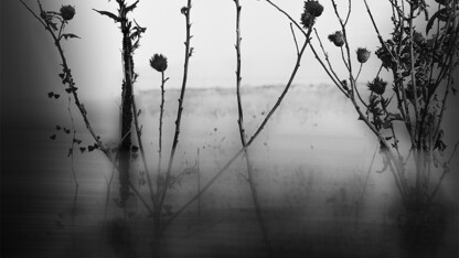 Prints that will be raffled during the UNL Fine Art Photo Club's Spring Sale include "The Search 4," an archival digital print by graduate student Allen Morris.