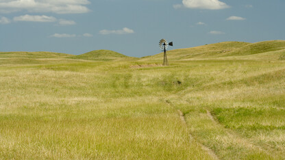 Nebraska grassland