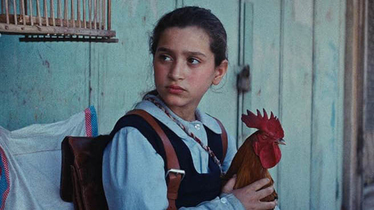 A young girl with brown hair pulled into a ponytail sits in a school uniform with an orange and red rooster in her lap.