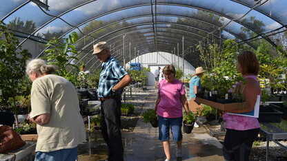 Nebraska State Arboretum hosting fall plant sales