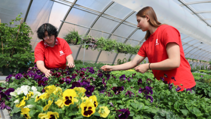 Horticulture Club holding spring bedding plant sale